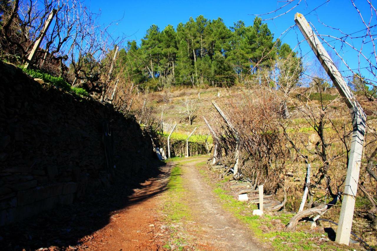 Affittacamere Casa da Passagem Vila Real Esterno foto