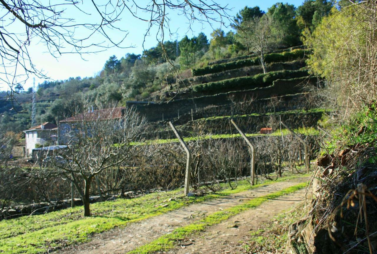 Affittacamere Casa da Passagem Vila Real Esterno foto